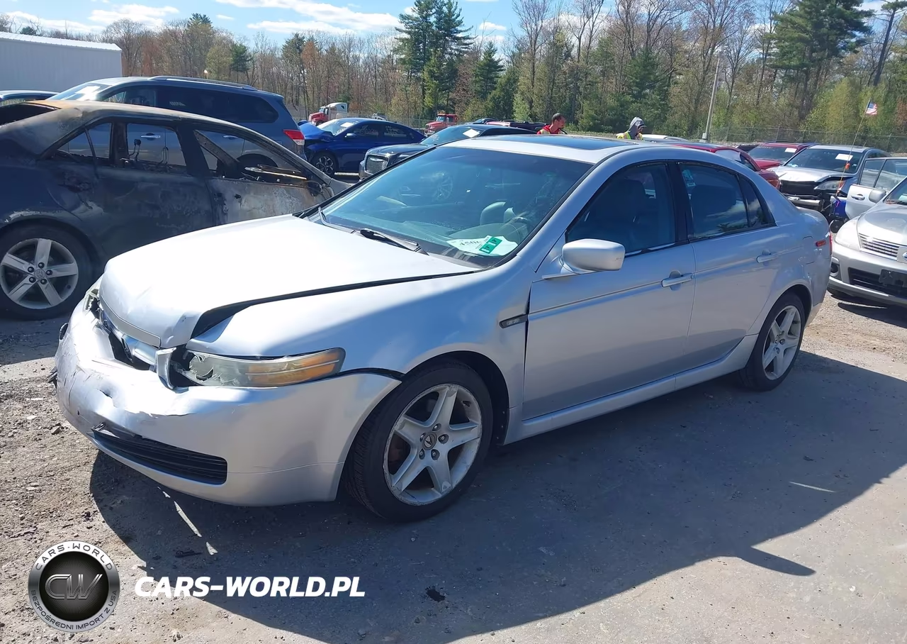 2004 Acura Tl VIN:19UUA662X4A053039 - 2