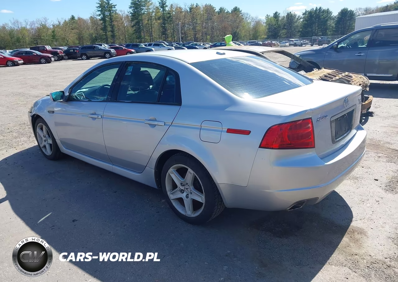 2004 Acura Tl VIN:19UUA662X4A053039 - 3
