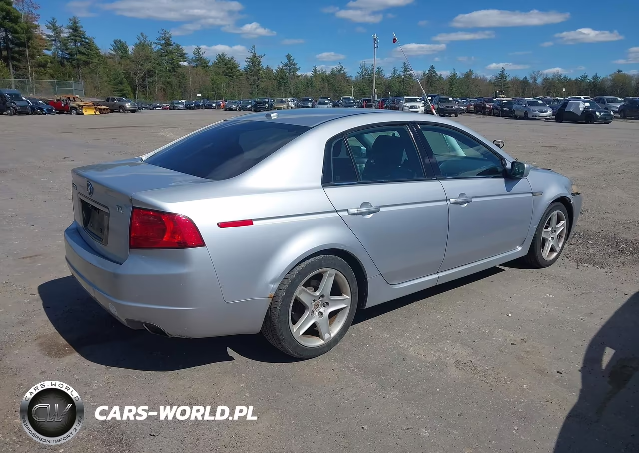 2004 Acura Tl VIN:19UUA662X4A053039 - 4