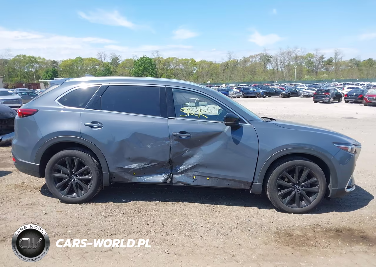 2021 Mazda Cx-9 Carbon Edition VIN:JM3TCBDY1M0508829 - 14