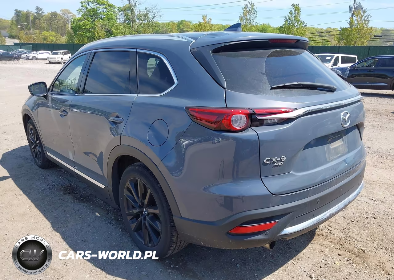 2021 Mazda Cx-9 Carbon Edition VIN:JM3TCBDY1M0508829 - 3