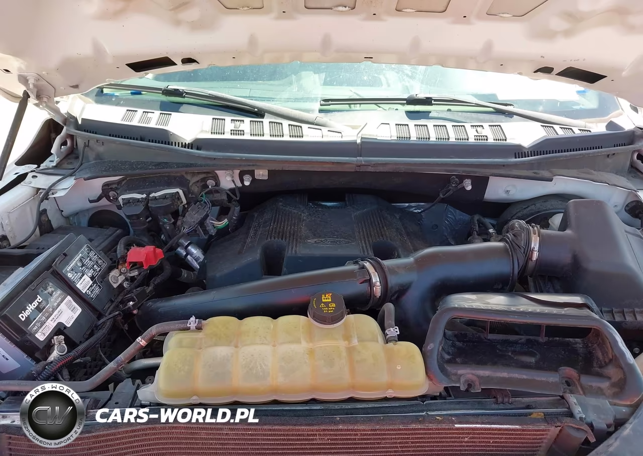 2019 Ford F-150 Xl VIN:1FTEX1C43KKE83528 - 10