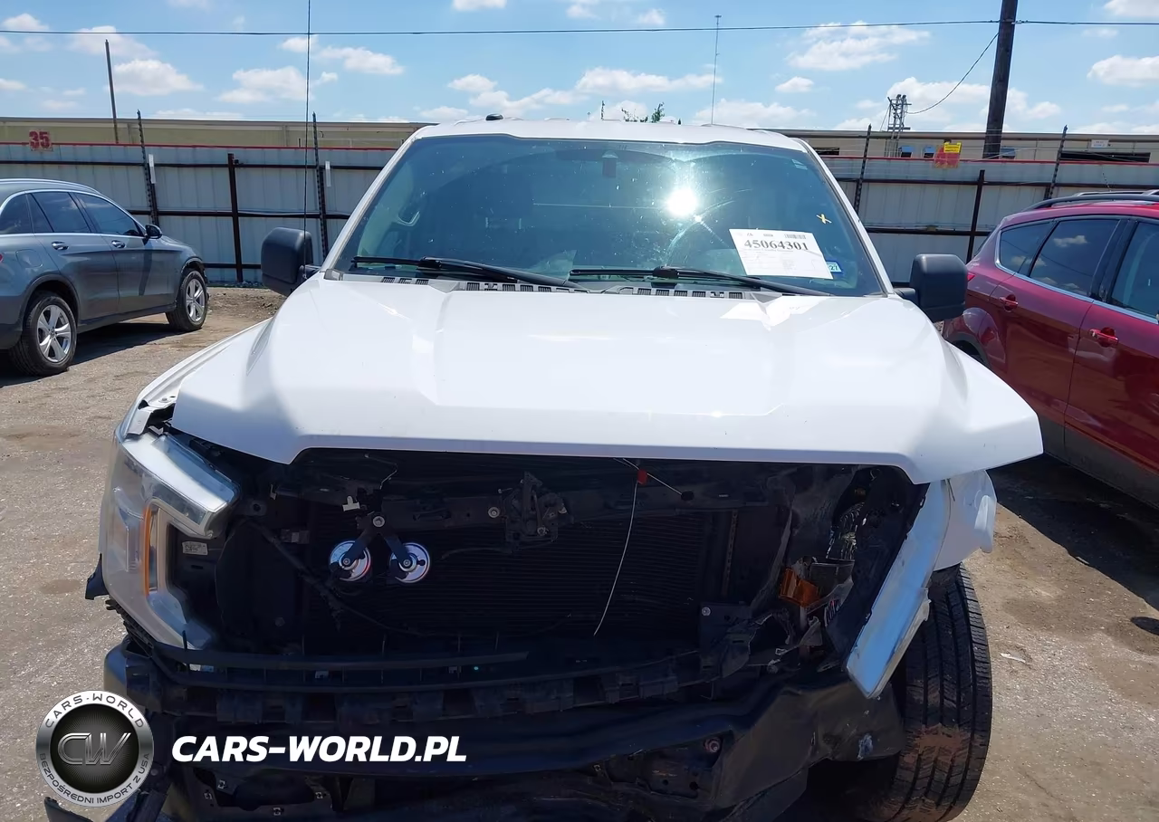 2019 Ford F-150 Xl VIN:1FTEX1C43KKE83528 - 13