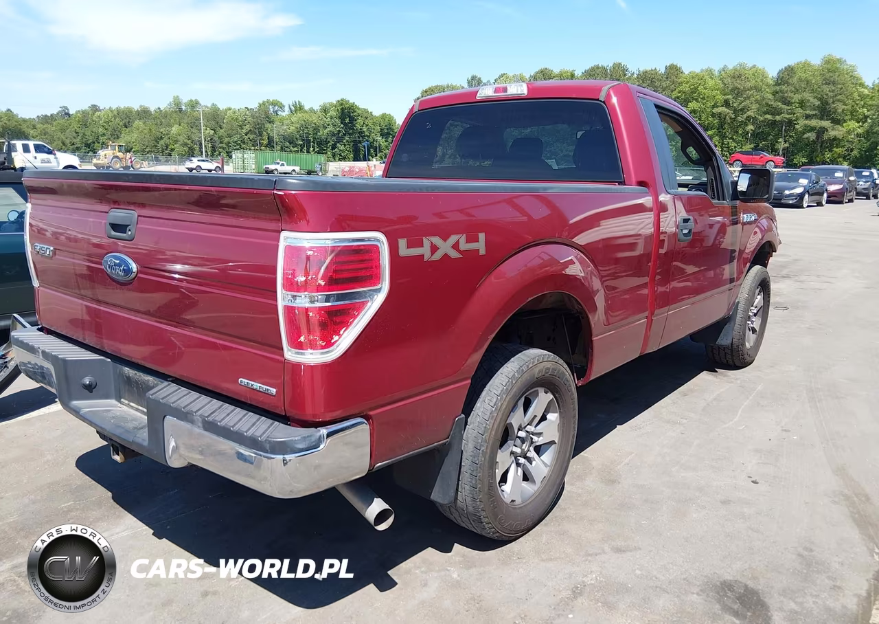 2014 Ford F-150 Xlt VIN:1FTMF1EF8EKE03951 - 4