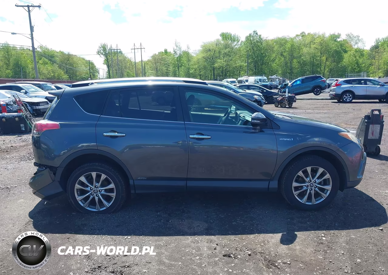2016 Toyota Rav4 Hybrid Limited VIN:JTMDJREV8GD013654 - 13