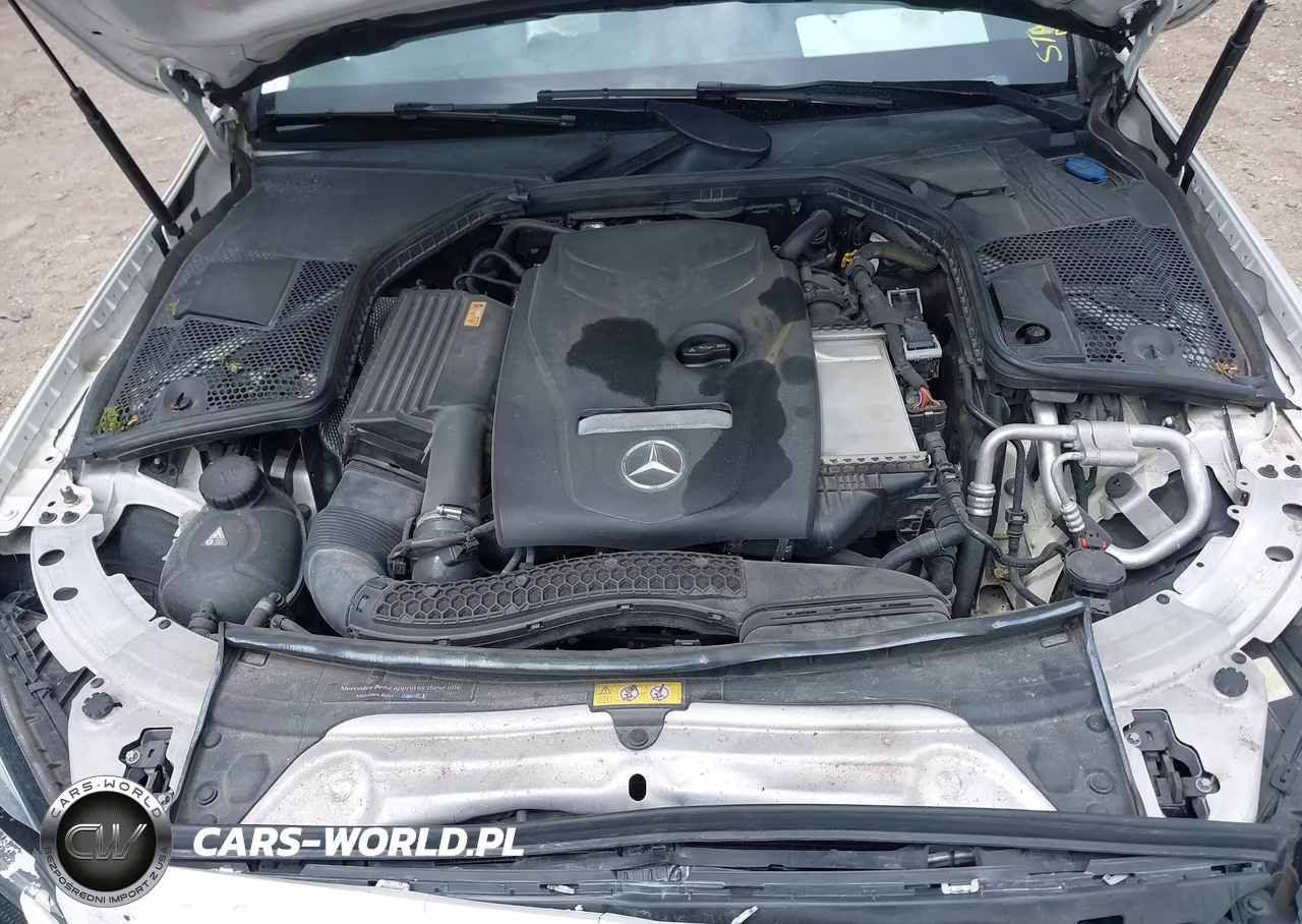 2017 Mercedes-Benz C 300 4Matic VIN:55SWF4KB0HU216019 - 10