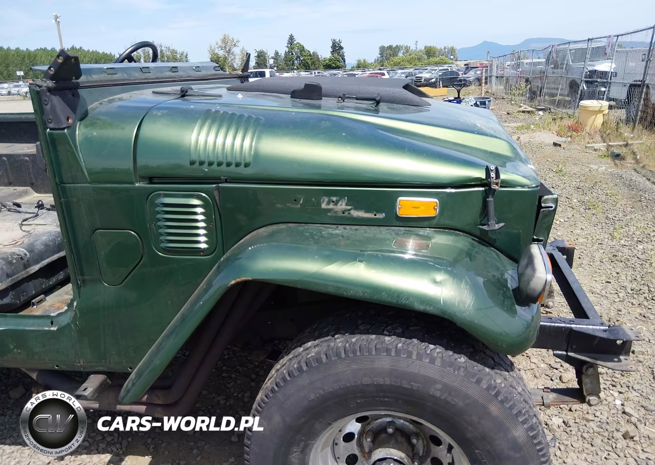 1971 Toyota Landcruiser VIN:FJ40100316 - 22