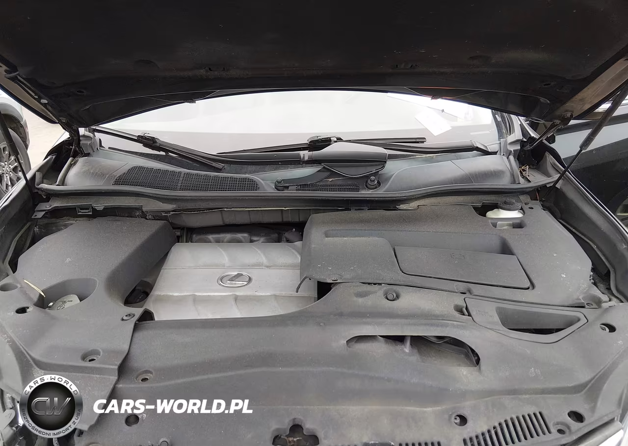 2014 Lexus Rx 350 VIN:2T2BK1BA6EC251063 - 10