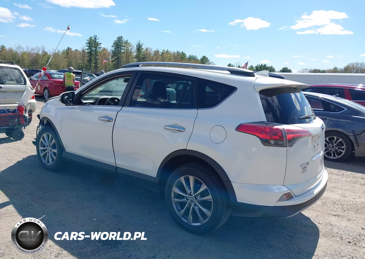 2017 Toyota Rav4 Limited VIN:2T3DFREV6HW560315 - 3