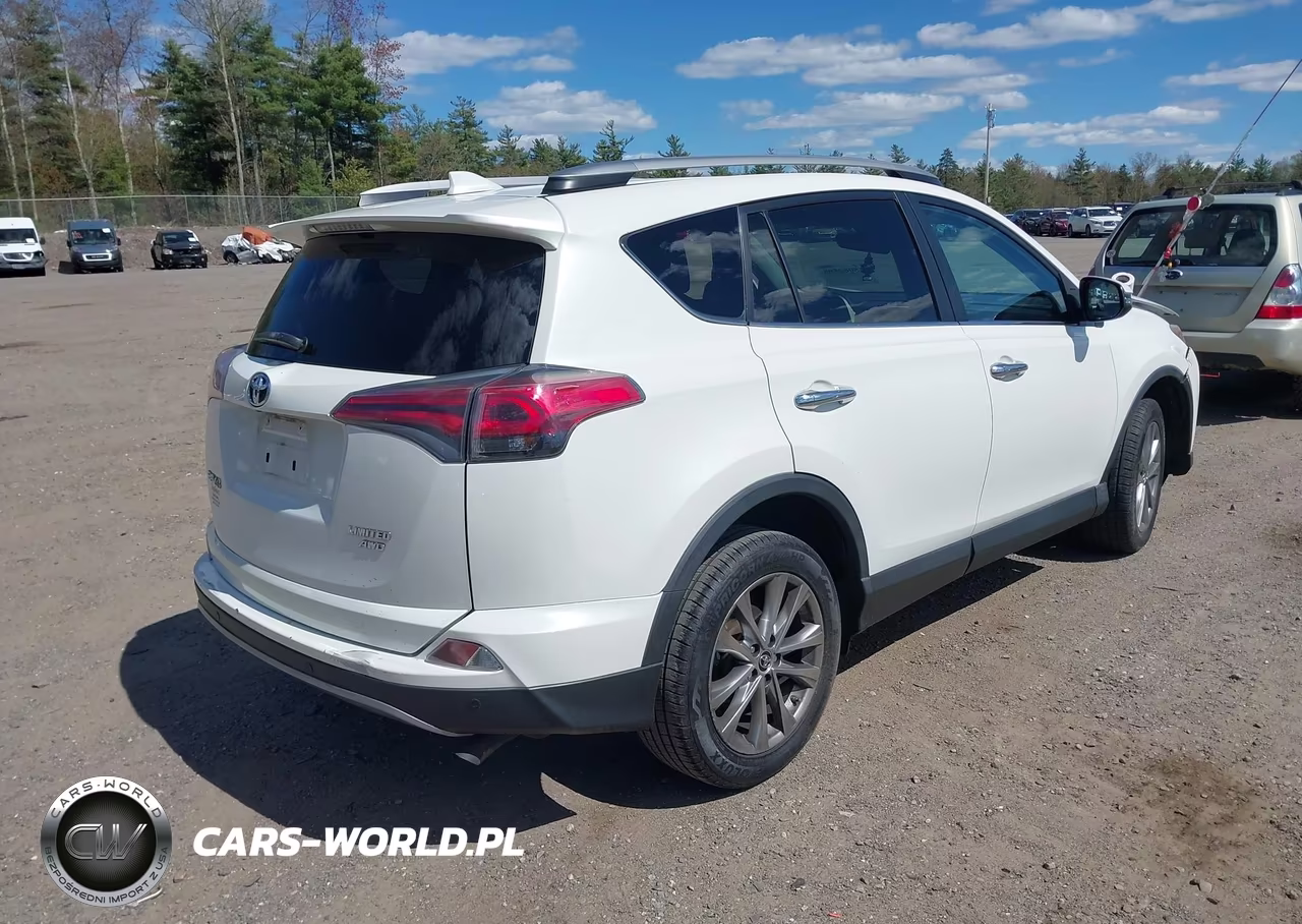 2017 Toyota Rav4 Limited VIN:2T3DFREV6HW560315 - 4