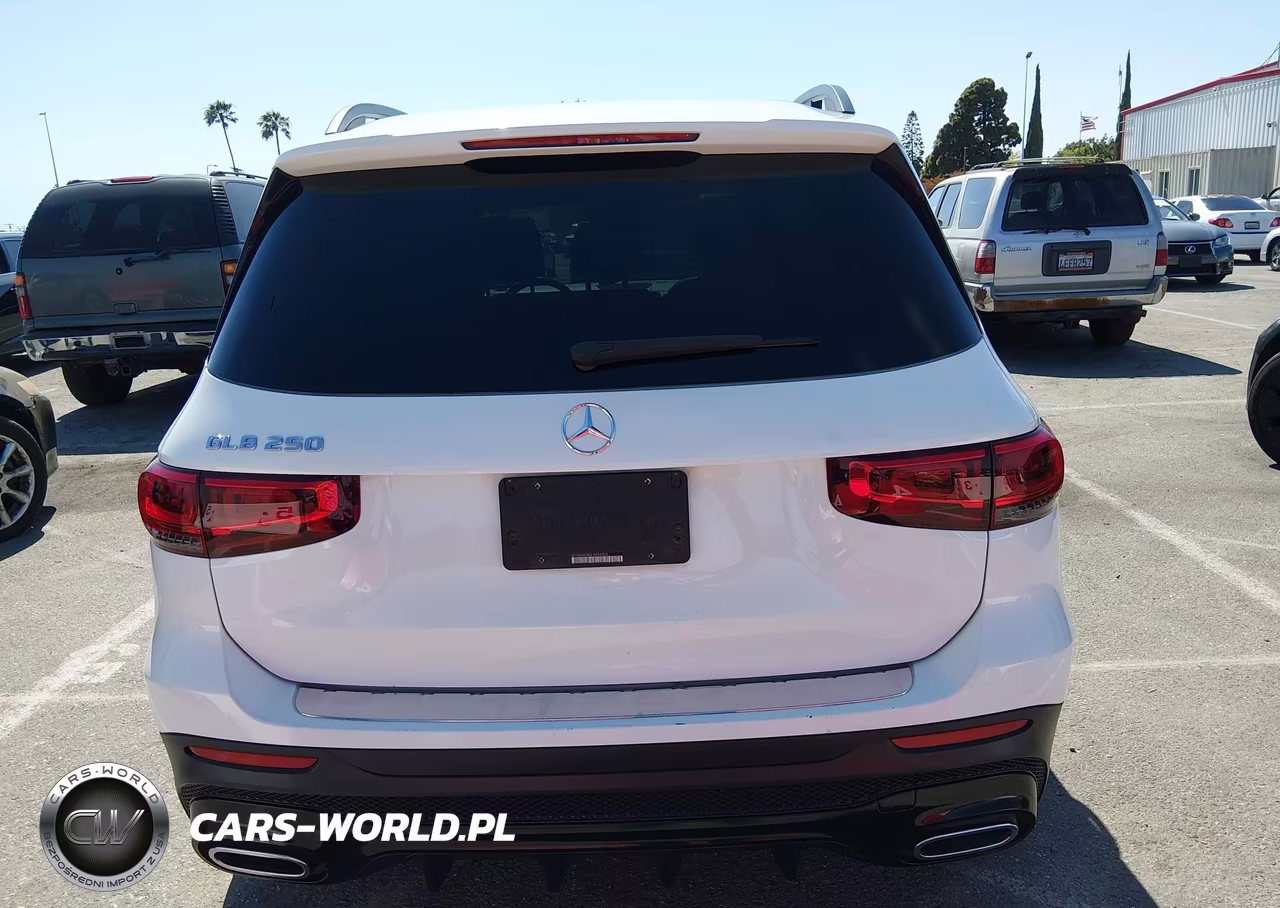 2020 Mercedes-Benz Glb 250 VIN:W1N4M4GBXLW050855 - 16