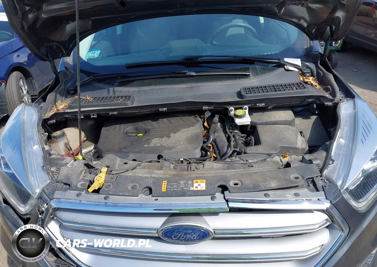2017 Ford Escape Se VIN:1FMCU0GD0HUE27527 - 10