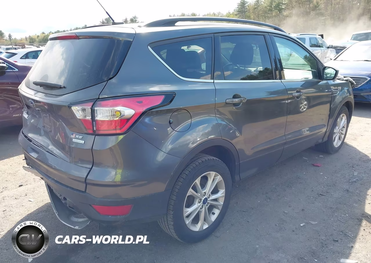 2017 Ford Escape Se VIN:1FMCU0GD0HUE27527 - 4