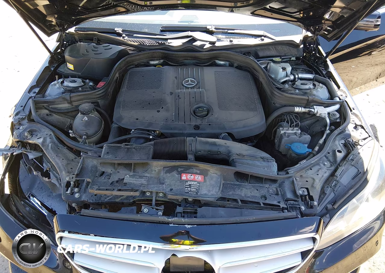 2014 Mercedes-Benz E 250 Bluetec VIN:WDDHF0EB9EA880294 - 10