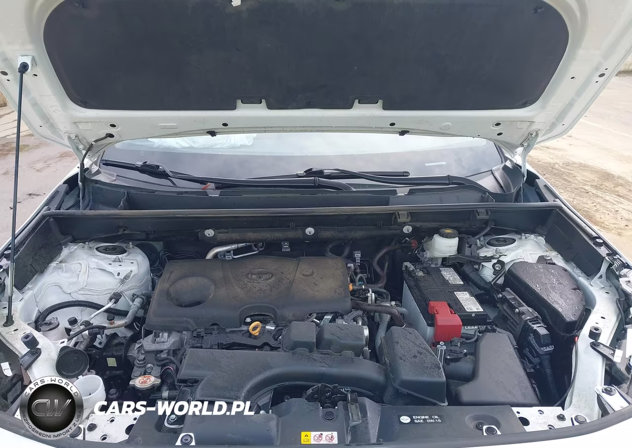 2024 Toyota Rav4 Xle VIN:2T3W1RFV6RW325016 - 10