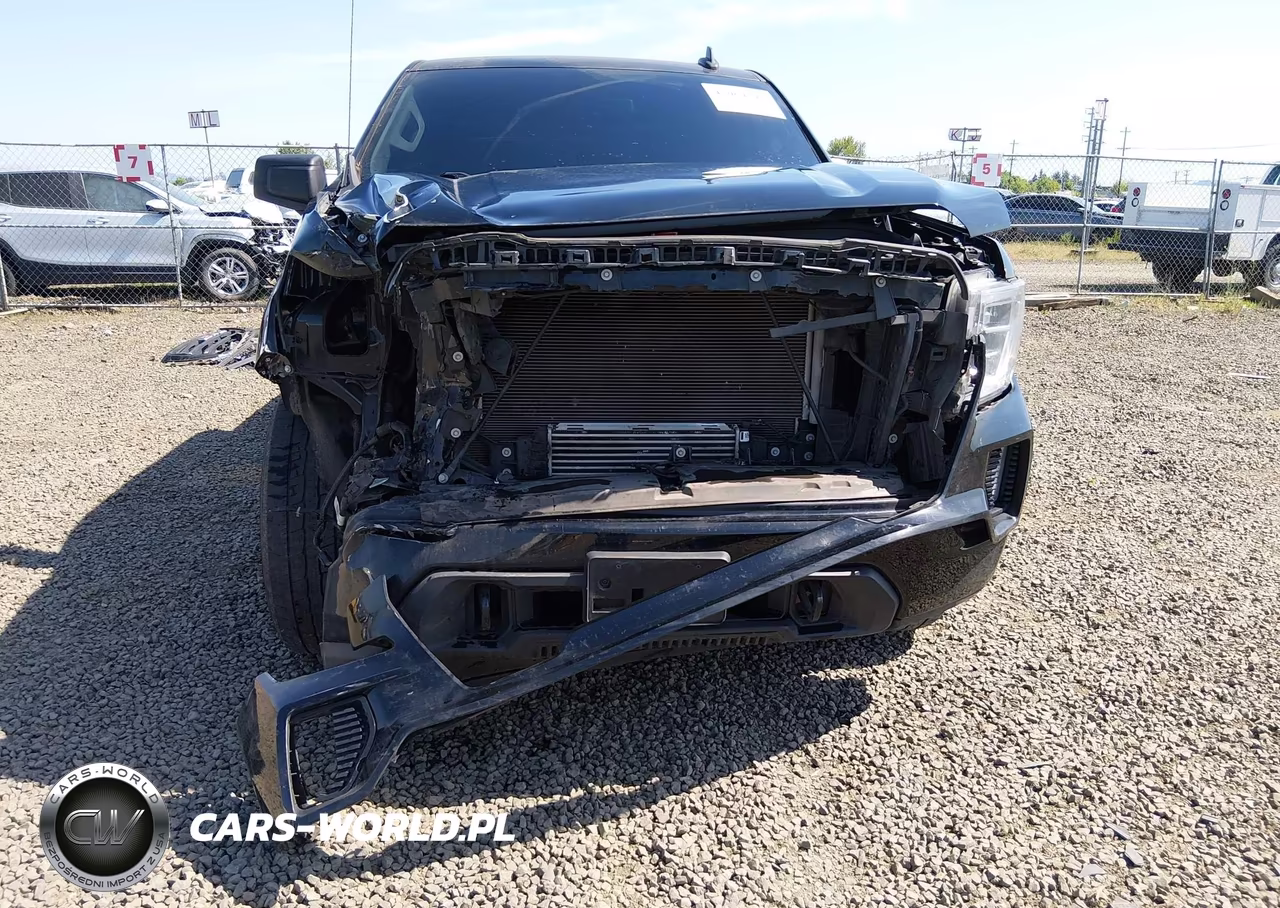 2020 GMC Sierra 1500 4Wd Short Box Elevation VIN:1GTP9CEK7LZ369289 - 13