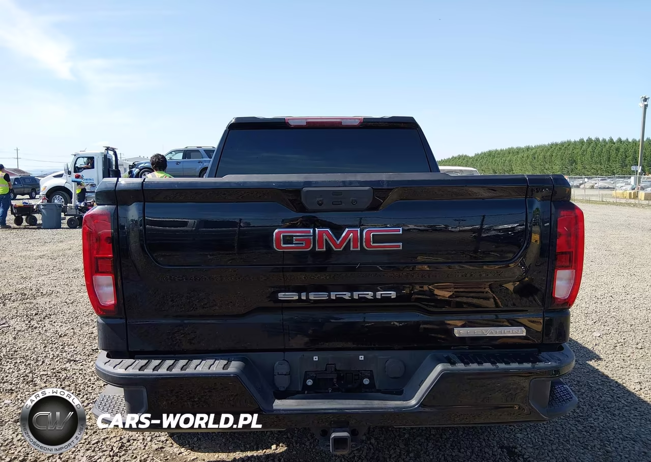 2020 GMC Sierra 1500 4Wd Short Box Elevation VIN:1GTP9CEK7LZ369289 - 17