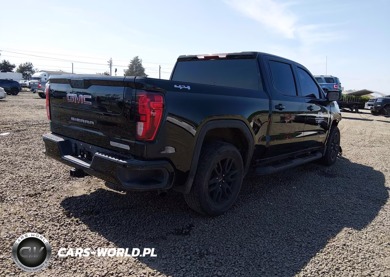 2020 GMC Sierra 1500 4Wd Short Box Elevation VIN:1GTP9CEK7LZ369289 - 4