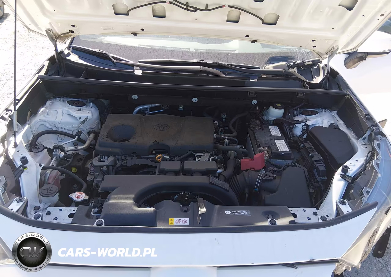 2019 Toyota Rav4 Le VIN:2T3G1RFV8KW015945 - 10
