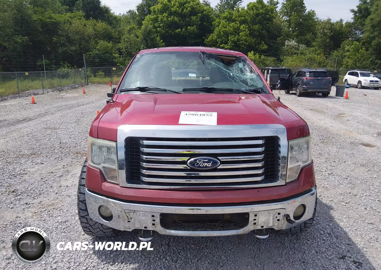 2012 Ford F-150 Xlt VIN:1FTFW1ET8CKD21195 - 12
