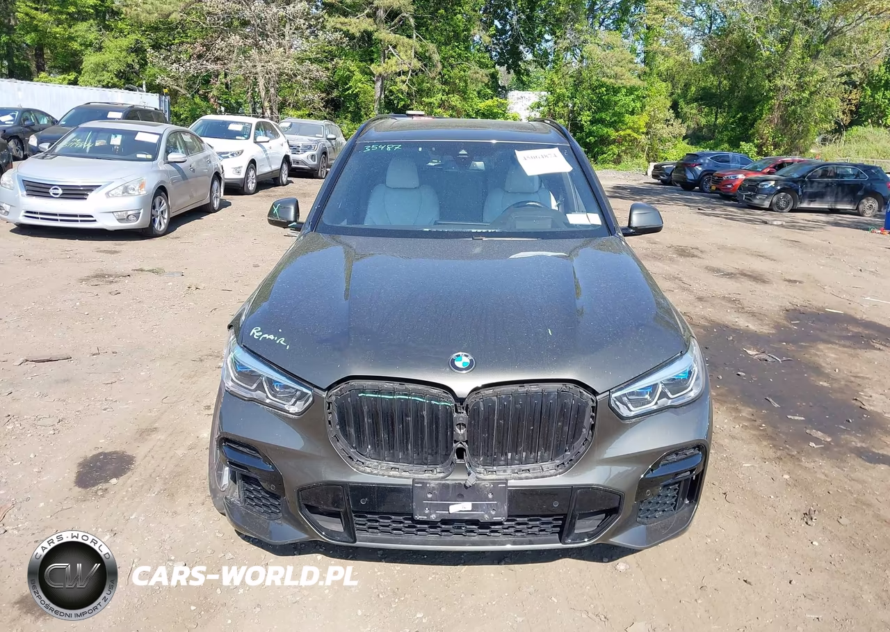 2023 BMW X5 xDrive40I VIN:5UXCR6C01P9R45108 - 12