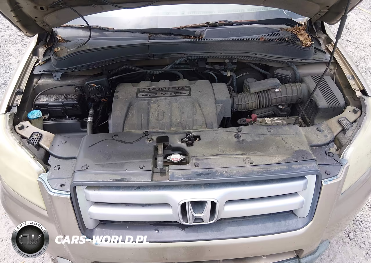 2006 Honda Pilot Ex-L VIN:5FNYF18796B025675 - 10