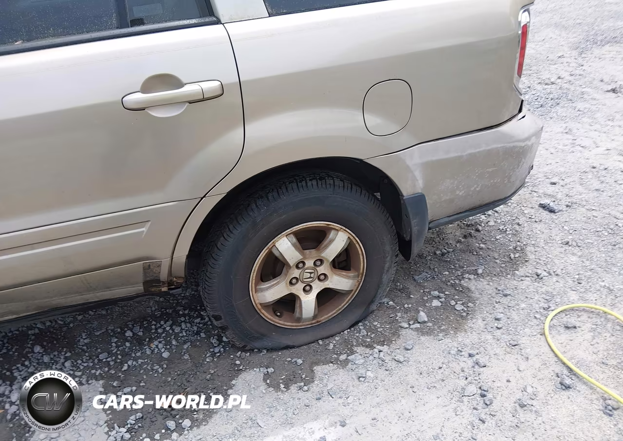 2006 Honda Pilot Ex-L VIN:5FNYF18796B025675 - 12
