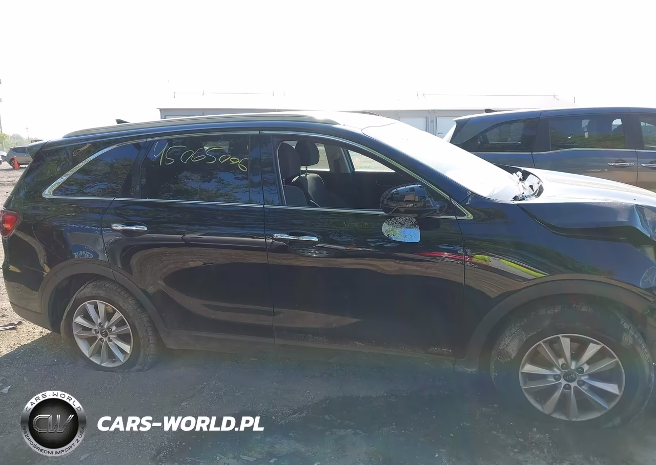 2019 Kia Sorento 2.4L Lx VIN:5XYPGDA37KG592293 - 13