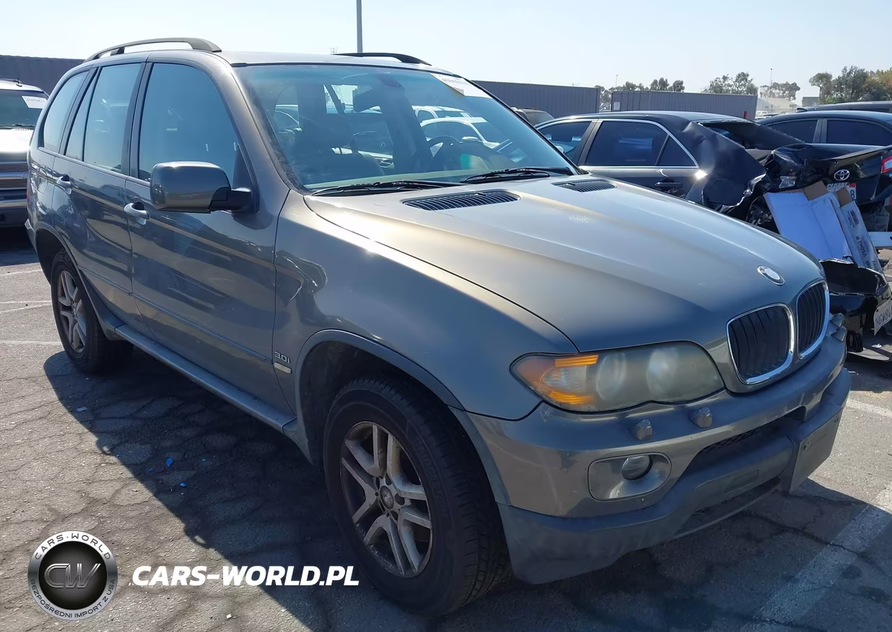 2006 BMW X5 3.0I