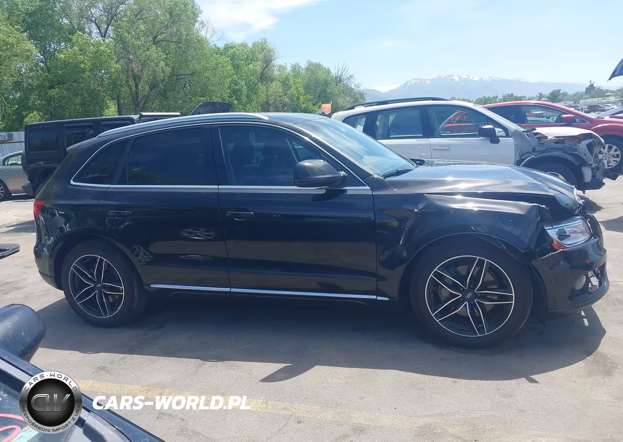 2014 Audi Q5 3.0 Tdi Premium Plus VIN:WA1CMAFP6EA067466 - 13
