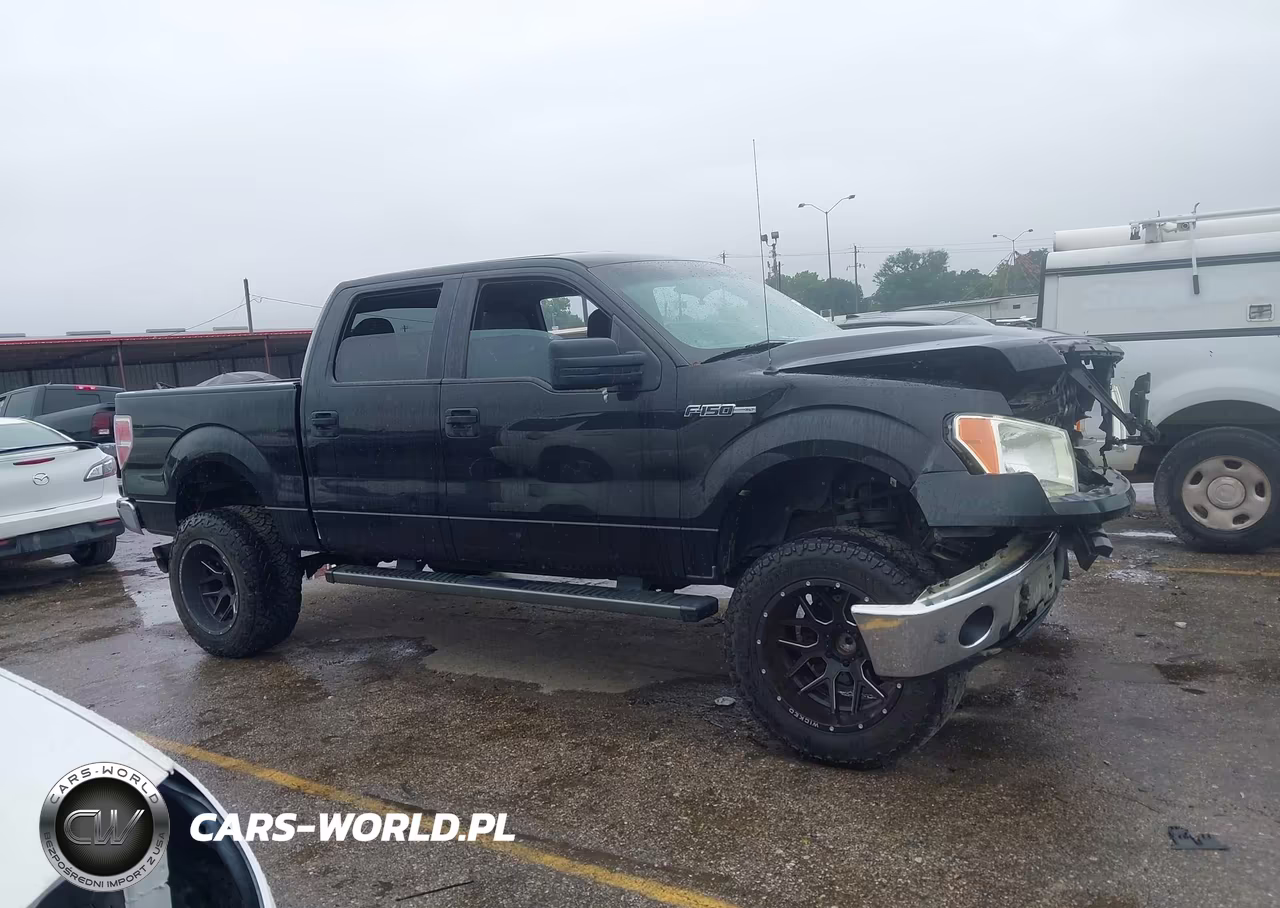 2013 Ford F-150 Xlt VIN:1FTFW1CF1DFA37429 - 13