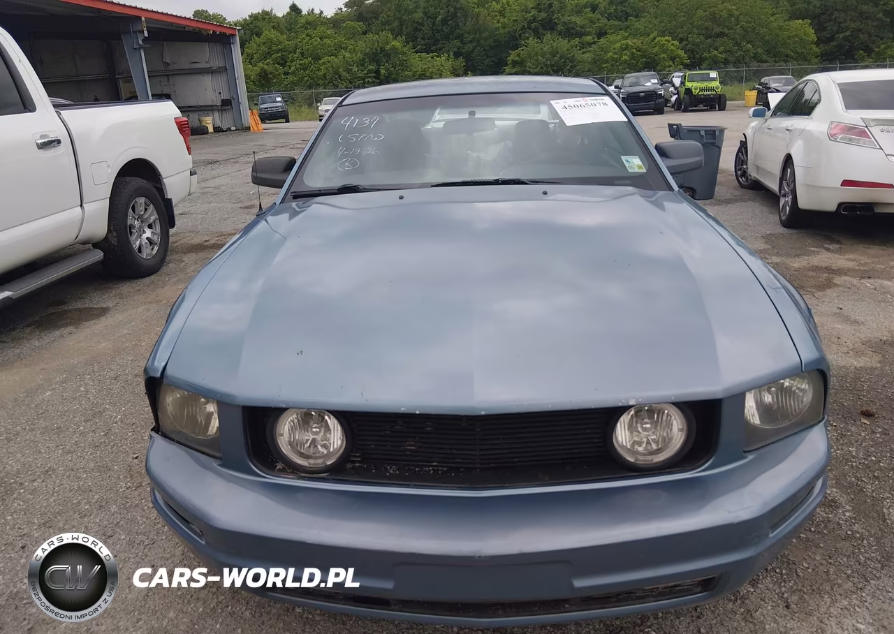 2005 Ford Mustang V6 Deluxe-V6 Premium VIN:1ZVFT80N255174137 - 12