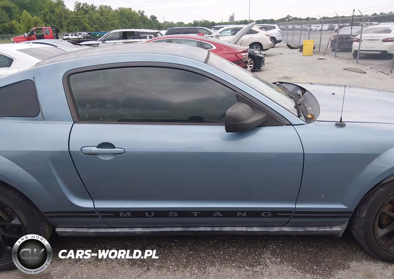 2005 Ford Mustang V6 Deluxe-V6 Premium VIN:1ZVFT80N255174137 - 13