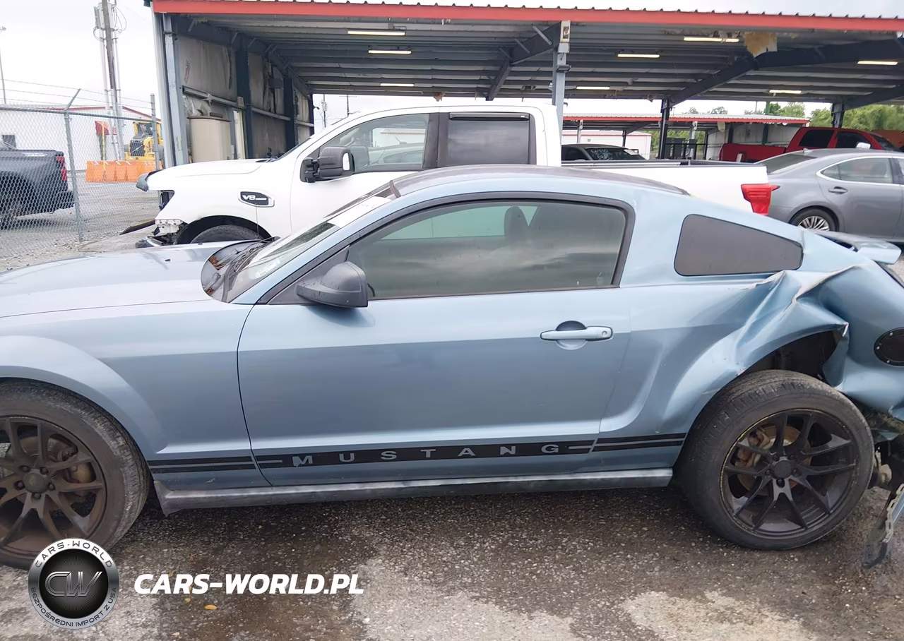 2005 Ford Mustang V6 Deluxe-V6 Premium VIN:1ZVFT80N255174137 - 14