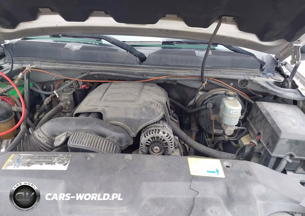 2010 Chevrolet Silverado 1500 Lt VIN:3GCRCSEA0AG198877 - 10
