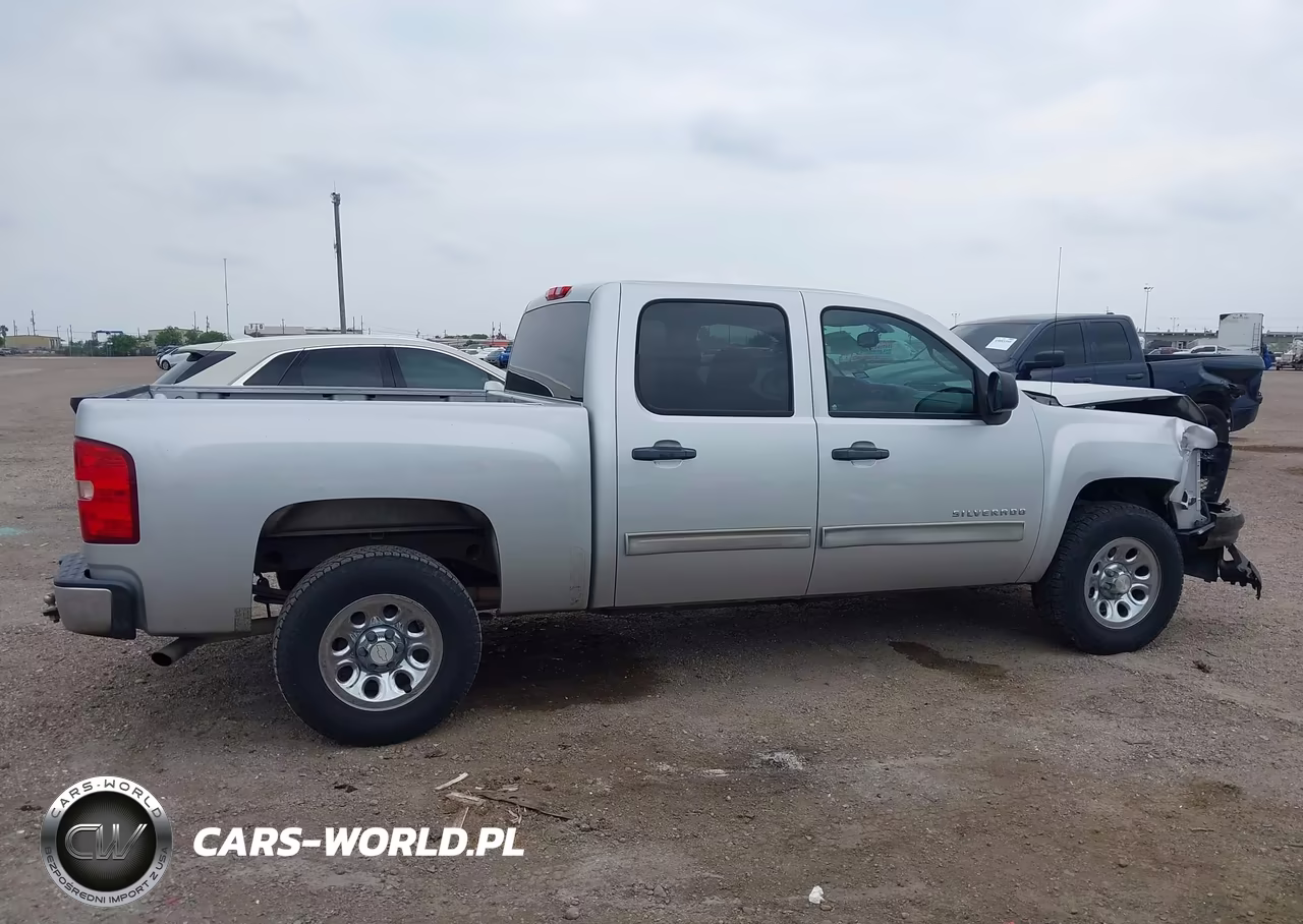 2010 Chevrolet Silverado 1500 Lt VIN:3GCRCSEA0AG198877 - 13