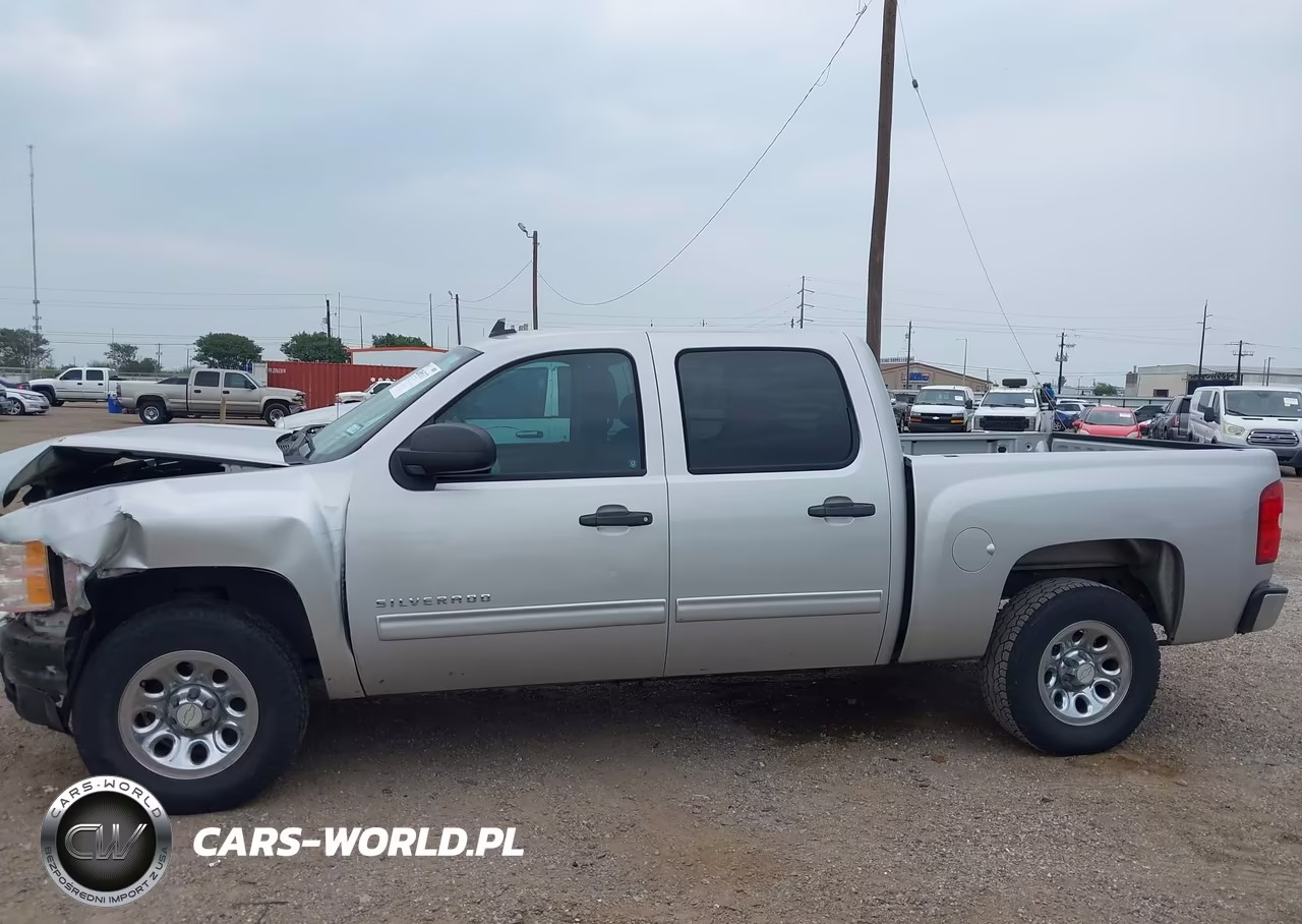 2010 Chevrolet Silverado 1500 Lt VIN:3GCRCSEA0AG198877 - 14