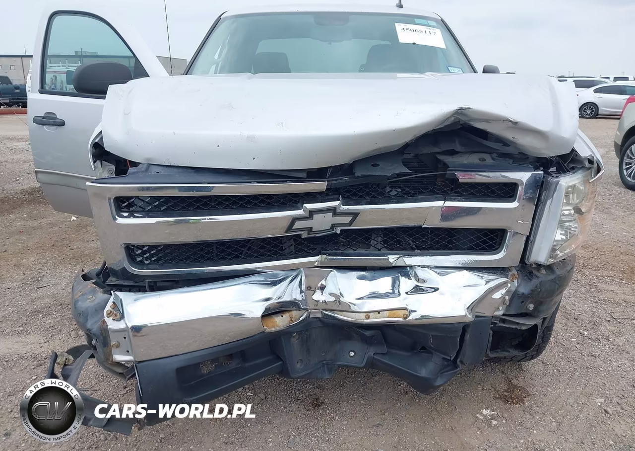 2010 Chevrolet Silverado 1500 Lt VIN:3GCRCSEA0AG198877 - 6