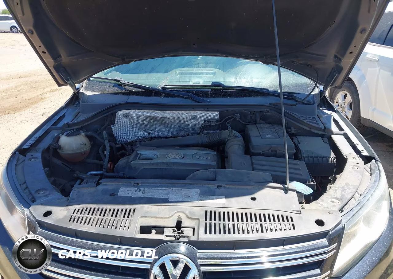 2012 Volkswagen Tiguan Le VIN:WVGAV7AX0CW576470 - 10