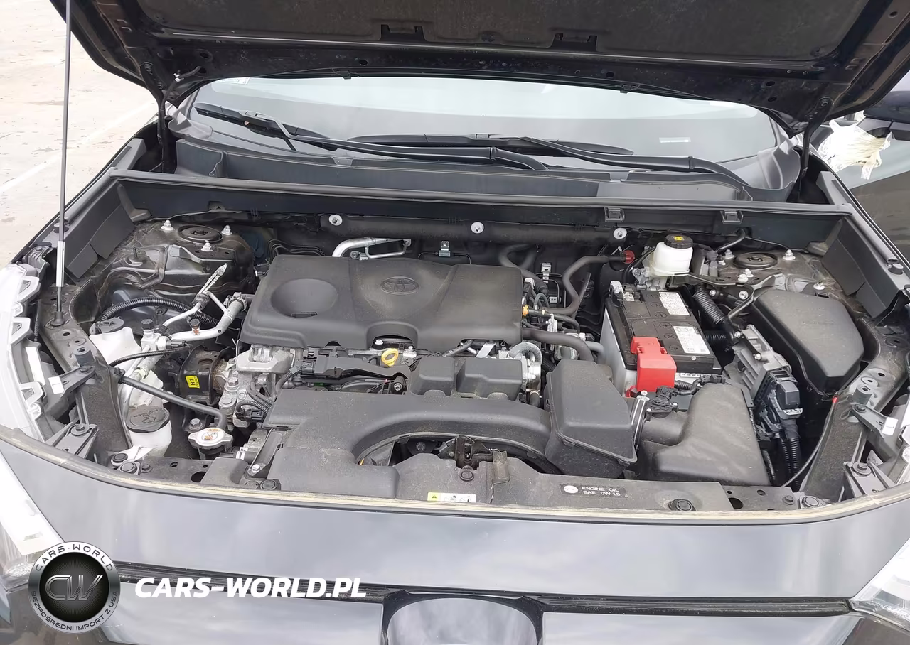 2024 Toyota Rav4 Xle VIN:2T3W1RFV5RW333771 - 10