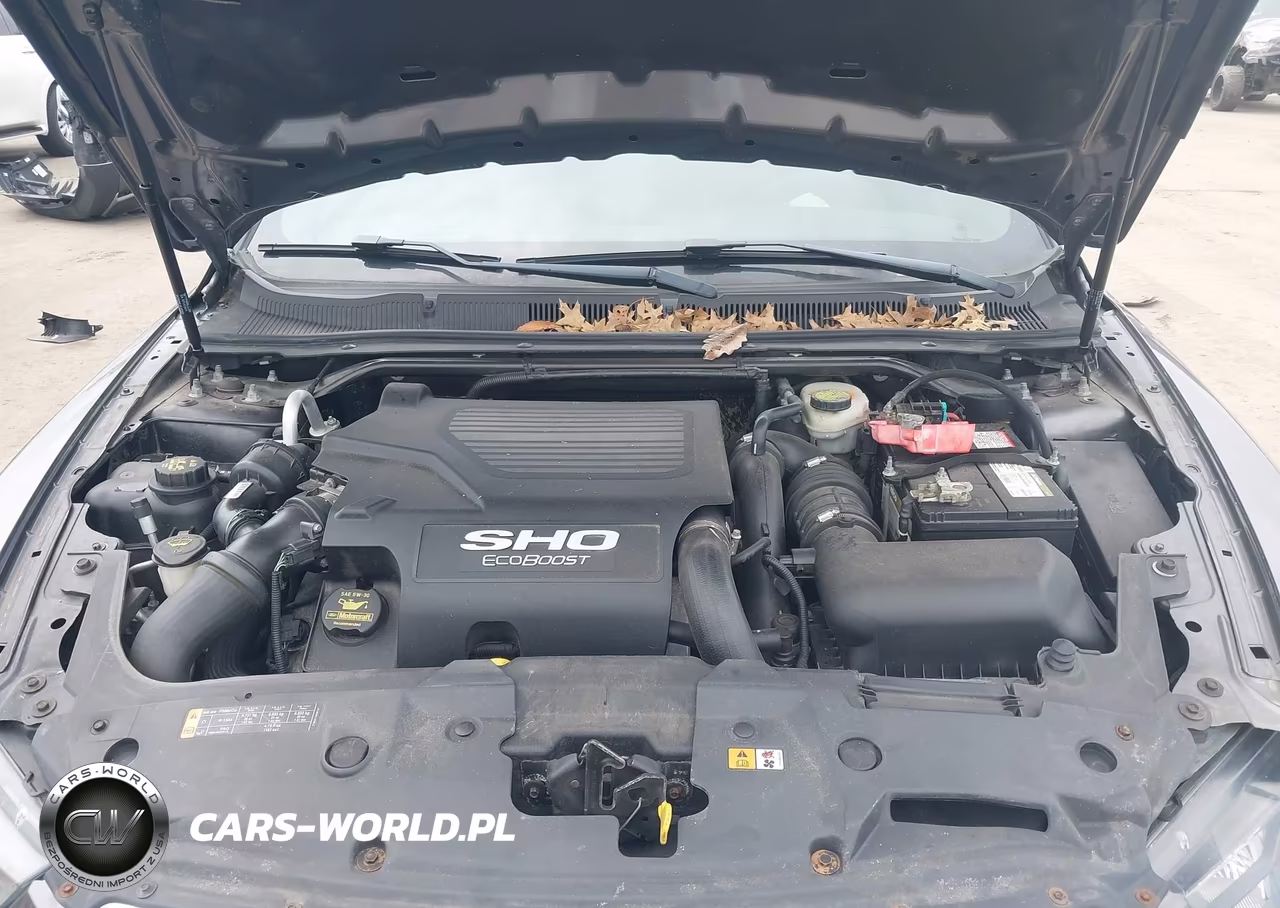 2013 Ford Taurus Sho VIN:1FAHP2KT5DG116203 - 10