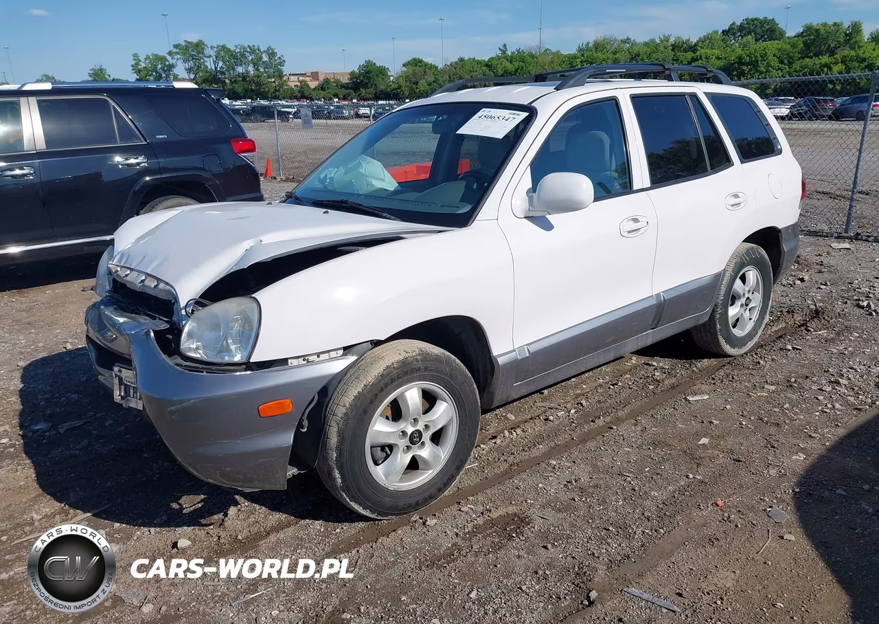 2005 Hyundai Santa Fe Gls VIN:KM8SC13D15U984730 - 2