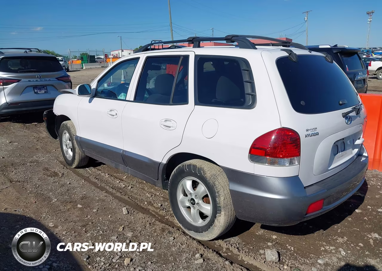 2005 Hyundai Santa Fe Gls VIN:KM8SC13D15U984730 - 3
