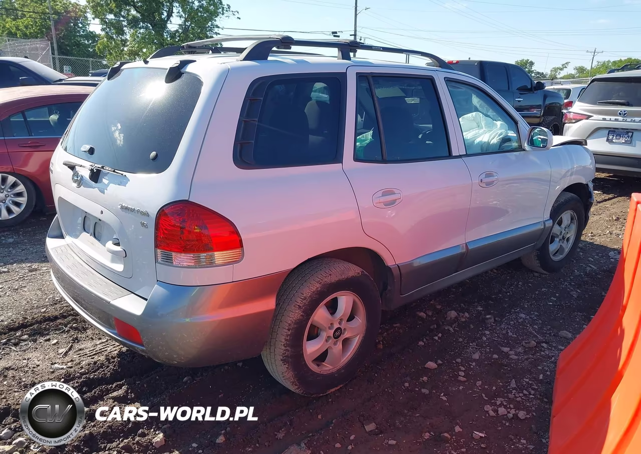2005 Hyundai Santa Fe Gls VIN:KM8SC13D15U984730 - 4