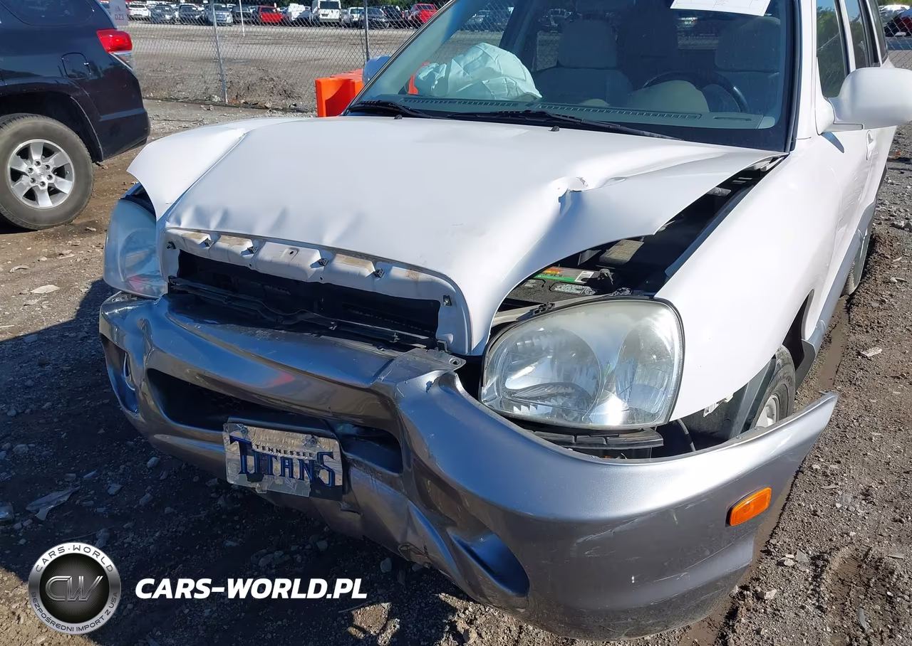 2005 Hyundai Santa Fe Gls VIN:KM8SC13D15U984730 - 6