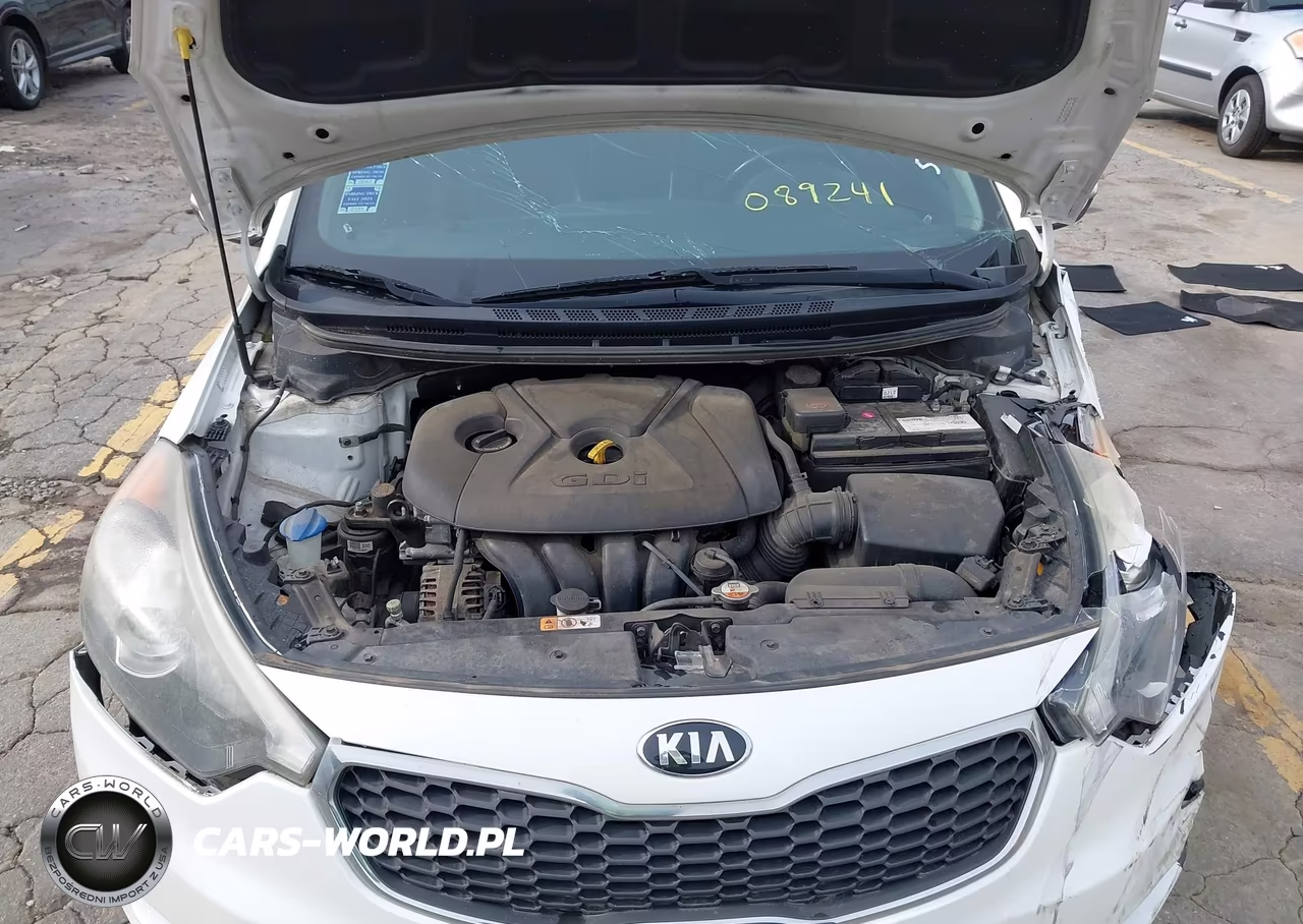 2014 Kia Forte Ex VIN:KNAFZ4A8XE5089241 - 10