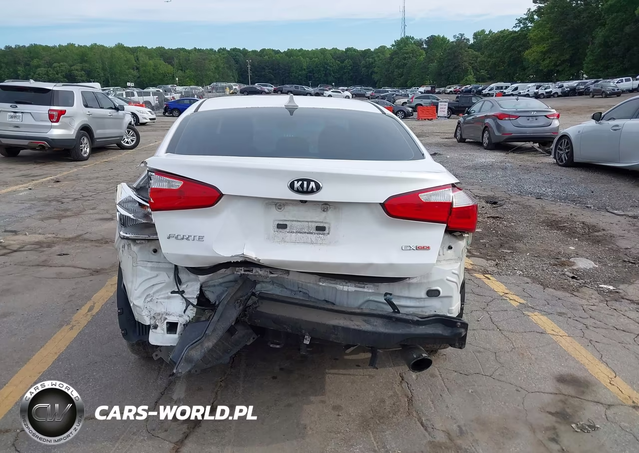 2014 Kia Forte Ex VIN:KNAFZ4A8XE5089241 - 17