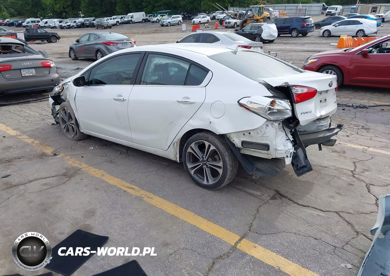 2014 Kia Forte Ex VIN:KNAFZ4A8XE5089241 - 3
