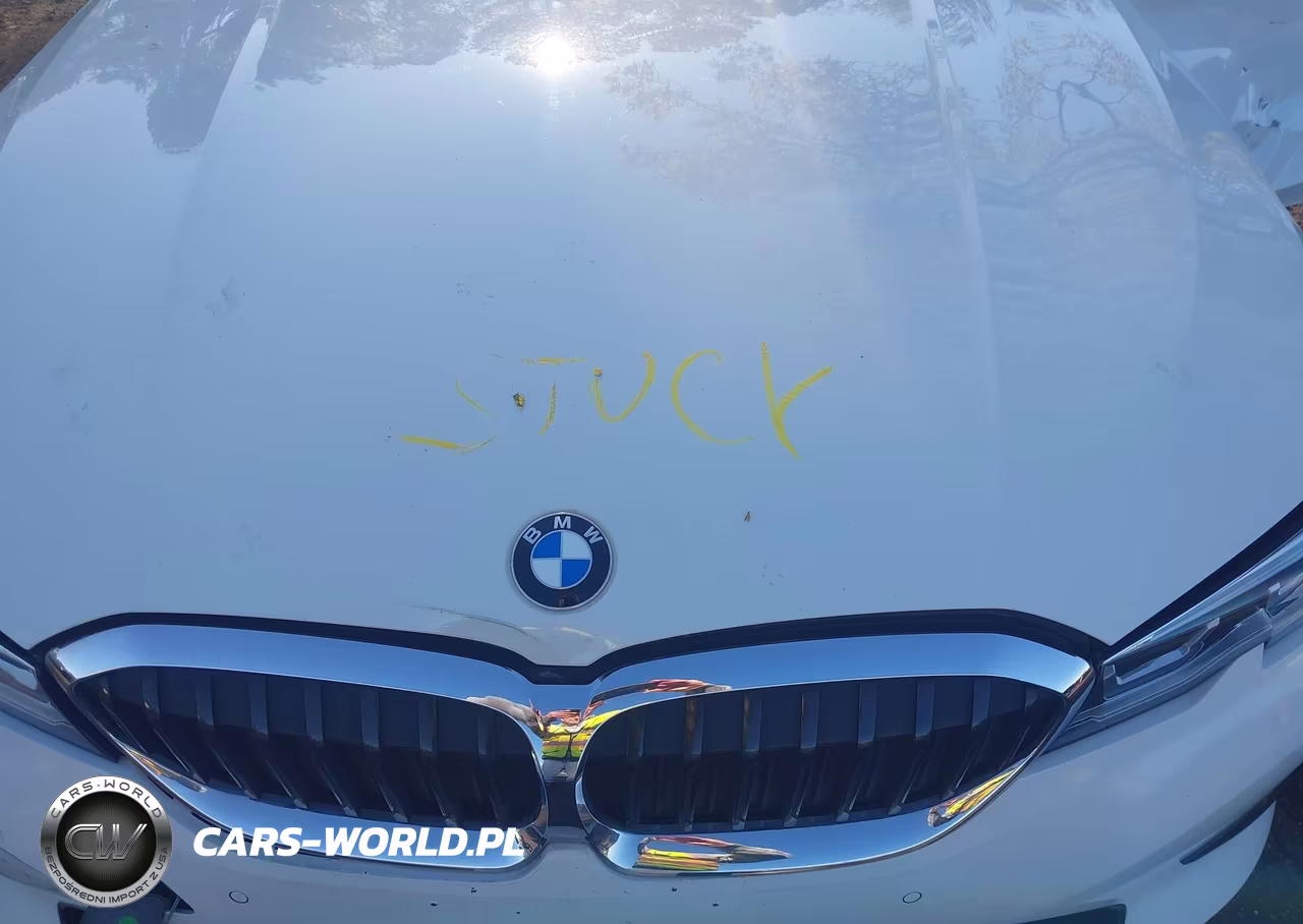 2020 BMW 330I xDrive VIN:3MW5R7J09L8B30238 - 10