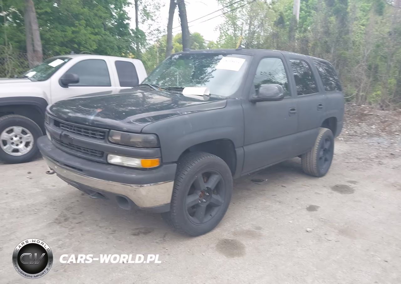 2004 Chevrolet Tahoe Lt VIN:1GNEK13T44J325303 - 2